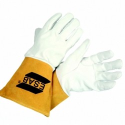     ESAB ()
